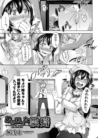 【エロ漫画】アナルAVコレクションを見つけた姉がアナルはやめなさいと言うので実際にやって気持ちよくなかったらやめると言って姉のアナル処女を奪う弟ｗｗｗ